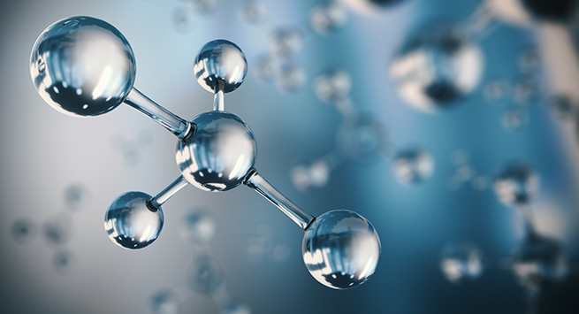 바이오메디컬학과