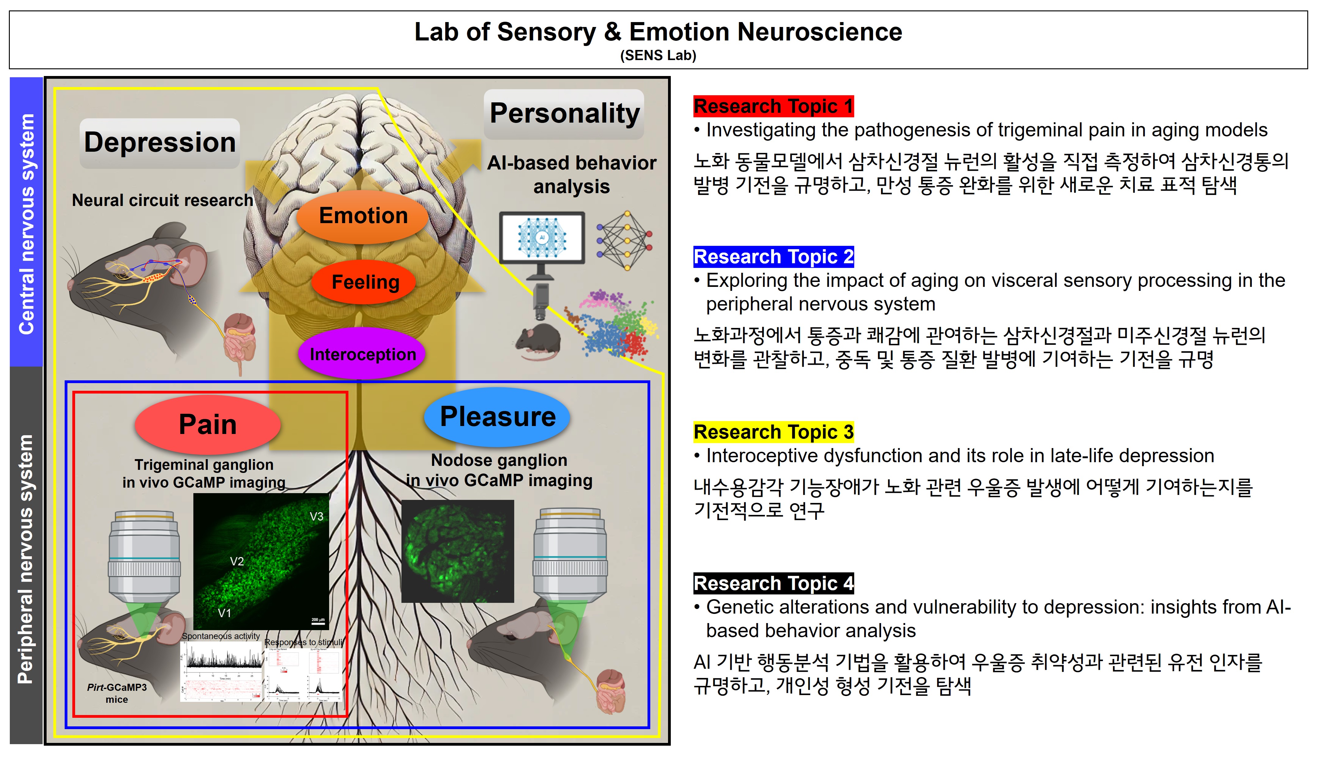 감각·감정신경과학연구